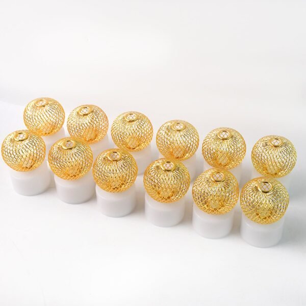 Light-05_69f76f38-753a-44b1-8abe-4da5b5e0c900.jpg LED Ball Shaped Decorative Light with Mesh Cover (12 Pc / Set)