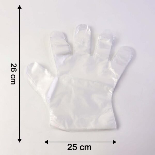 PlasticGloves-size.jpg Disposable Clear Gloves, 50 Pc Pack