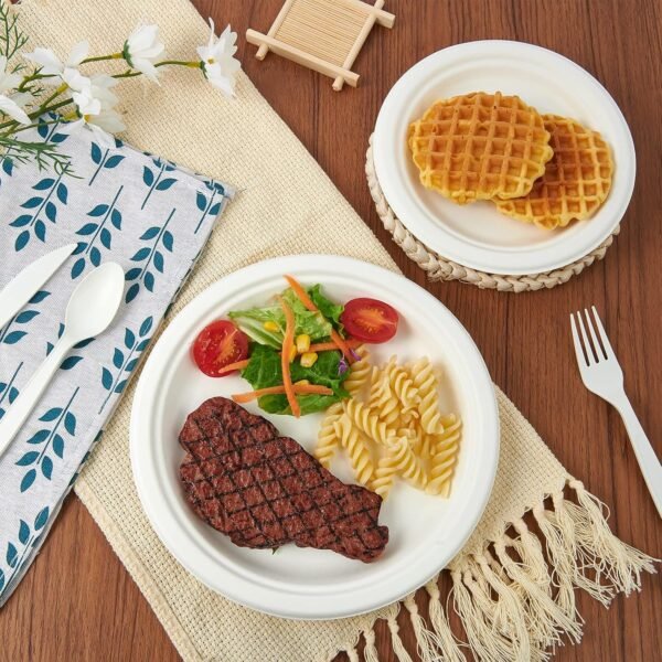 Freshee 9 Inch Compostable Bagasse Plate (10 Pc)