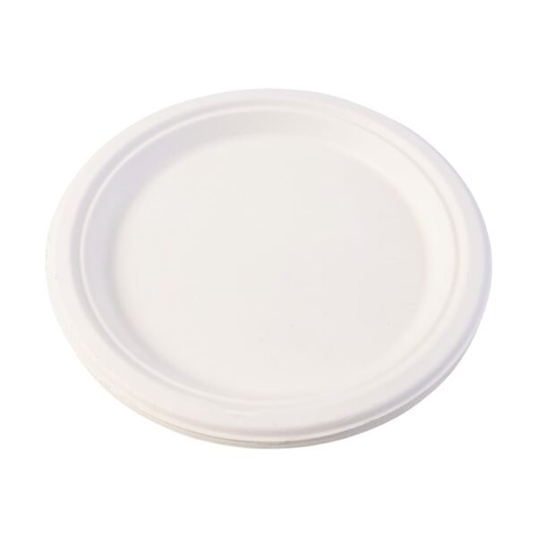 Freshee 9 Inch Compostable Bagasse Plate (10 Pc)