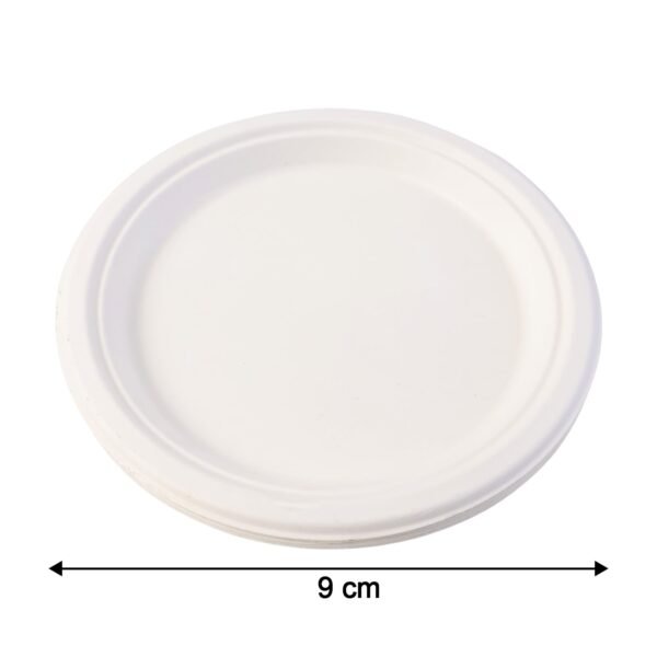 Freshee 9 Inch Compostable Bagasse Plate (10 Pc)