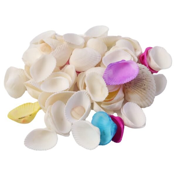 Seashells-04.jpg Decorative Seashells Set (1 Set)