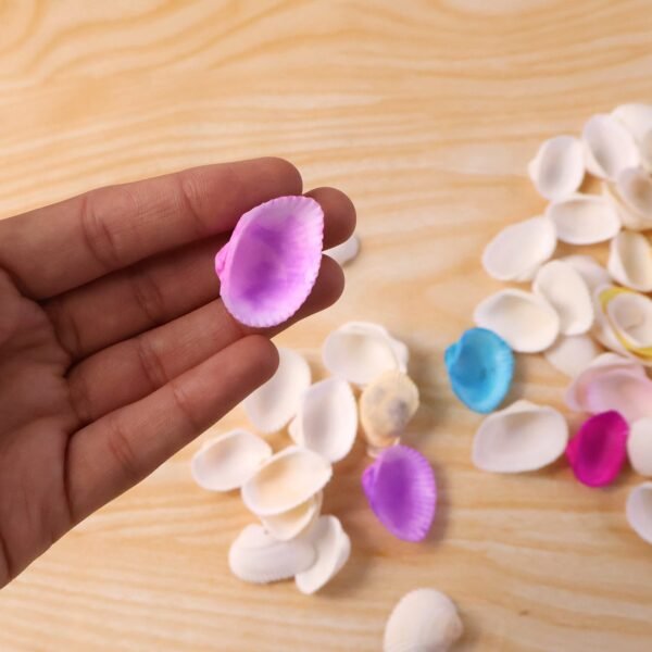 Seashells-06.jpg Decorative Seashells Set (1 Set)