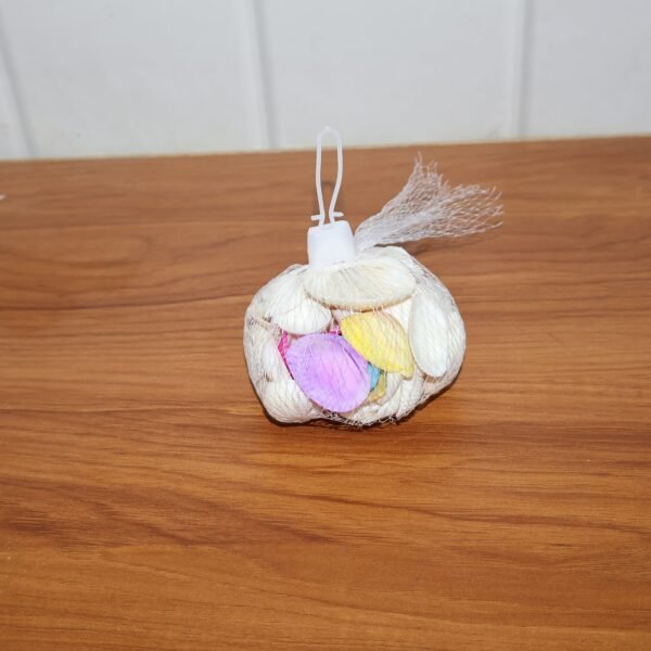 Seashells-live.jpg Decorative Seashells Set (1 Set)