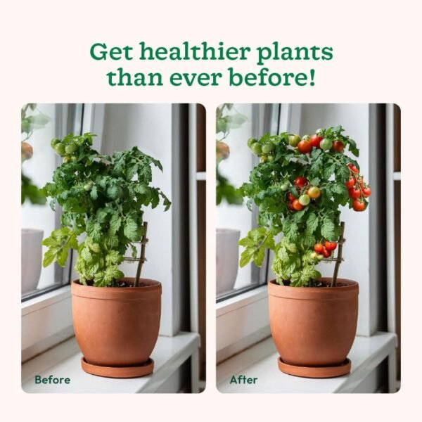 Red Organic Soil Fertilizer Granules  (1 KG Pack)