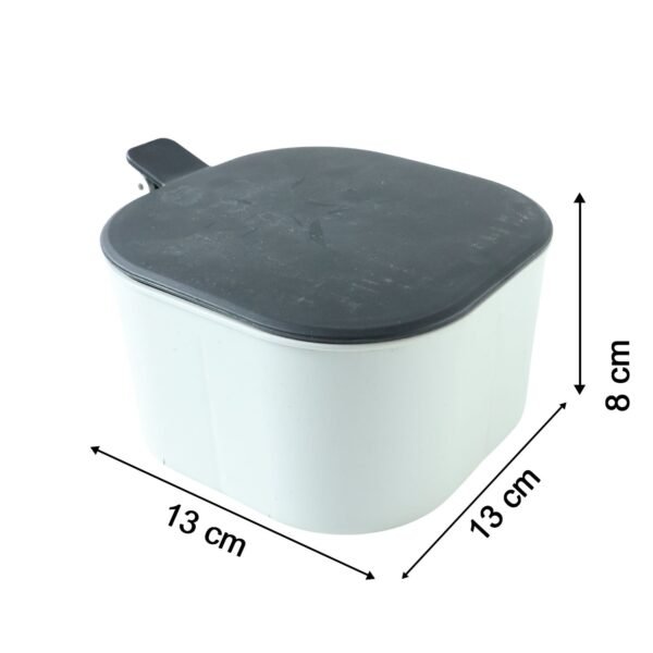 Fancy 4-Section Masala Box for Kitchen Storage (Spice Container)