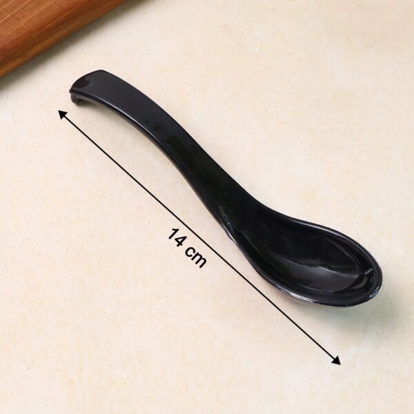 Spoon-06_0603c915-8349-4db8-9417-2242d2efa9d9.jpg Plastic Soup Spoon – Deep Bowl (1 Pc / Black)