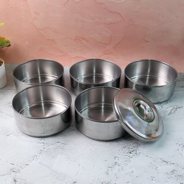5 Compartment Lunch Box (Stainless Steel): Round Tiffin, Leakproof (16x5")