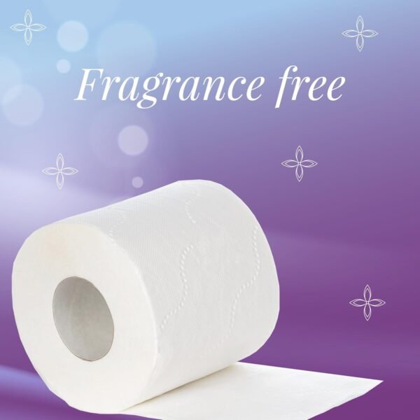 Toilet Tissue Rolls – Soft Embossed Bathroom Tissue, 220 Sheets × 10 Rolls