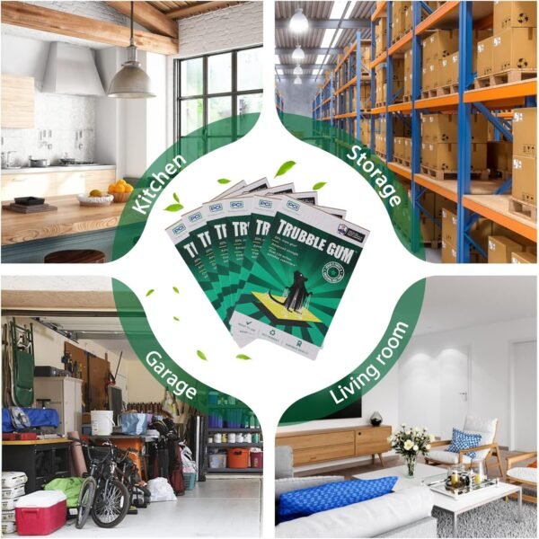 PCI Cardboard Troublegum Small Size Mouse Trap-10Pc