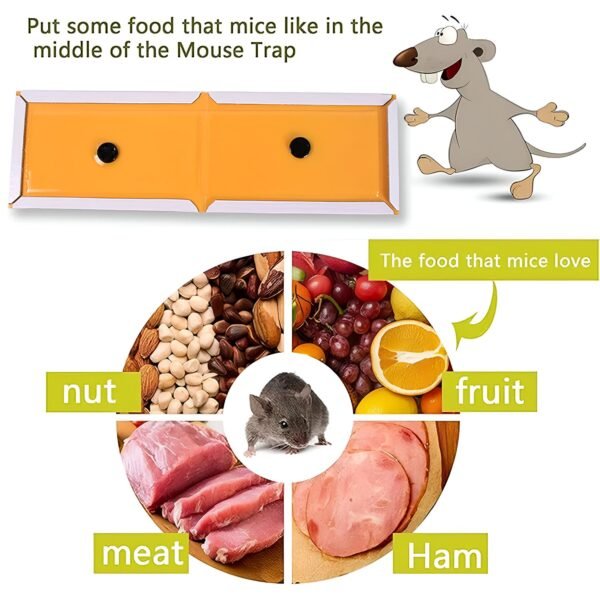 PCI Cardboard Troublegum Small Size Mouse Trap-10Pc