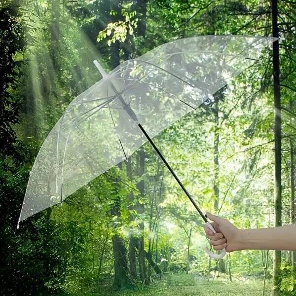 Umbrella-03_96bbe1bf-68f9-4afe-b61a-fe9c0df24ec9.jpg Premium Transparent Dome Umbrella with Curved Handle (1 Pc)