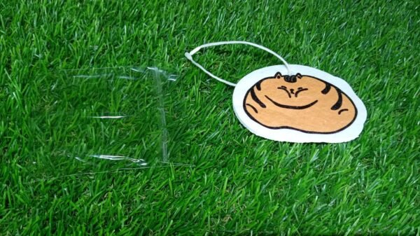 Compressed Wood Pulp Sponge