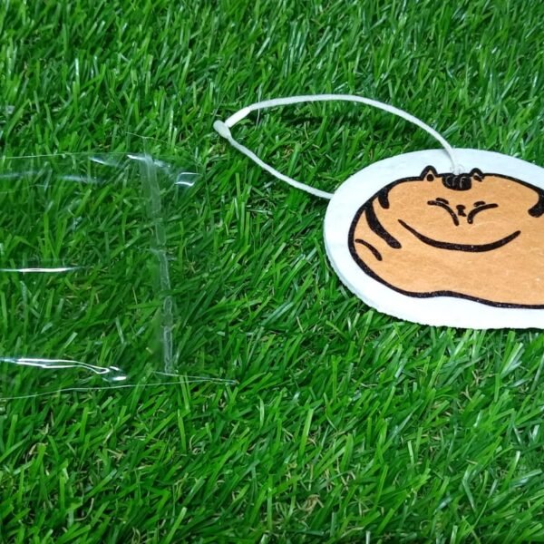 Compressed Wood Pulp Sponge