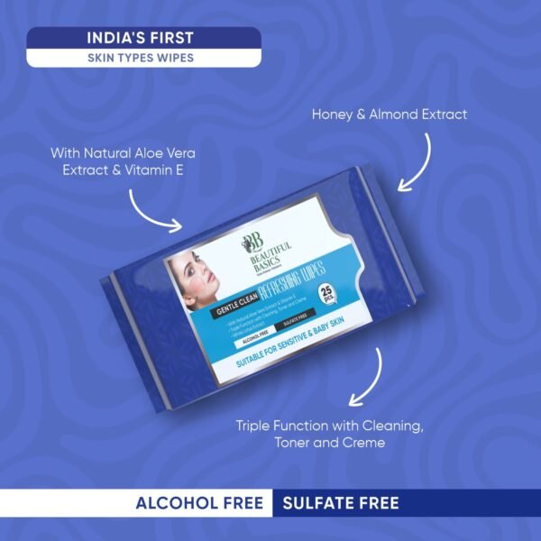 Refreshing Wet Wipes for Face