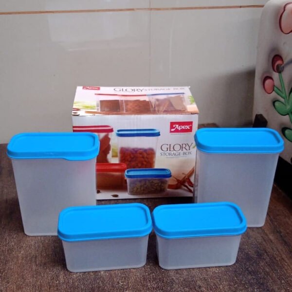 Apex Glory Plastic Storage Container Box Set (4 Pc)