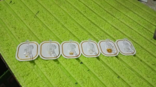 a0ff6501-1ab6-4405-9852-4134199e5ef9.jpg TRANSPARENT ADHESIVE WALL HOOK (6 PCS SET)
