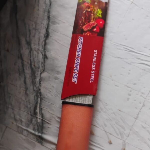 Multi-Purpose Stainless Steel Kitchen Cutting Knife (1 Pc)