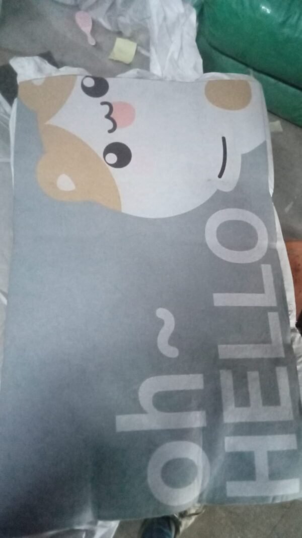 Square Bathroom mat Water Door Mat   for Home, Kitchen (59x40) (Mix Design)