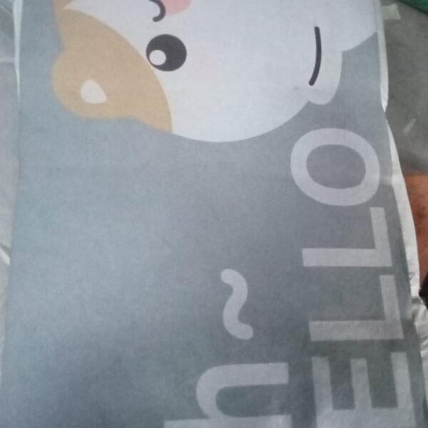 Square Bathroom mat Water Door Mat   for Home, Kitchen (59x40) (Mix Design)