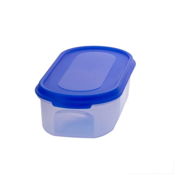 asdfSDfcsdfgvdeghn.jpg Kitchen Storage Container for Multipurpose Use (500ml)