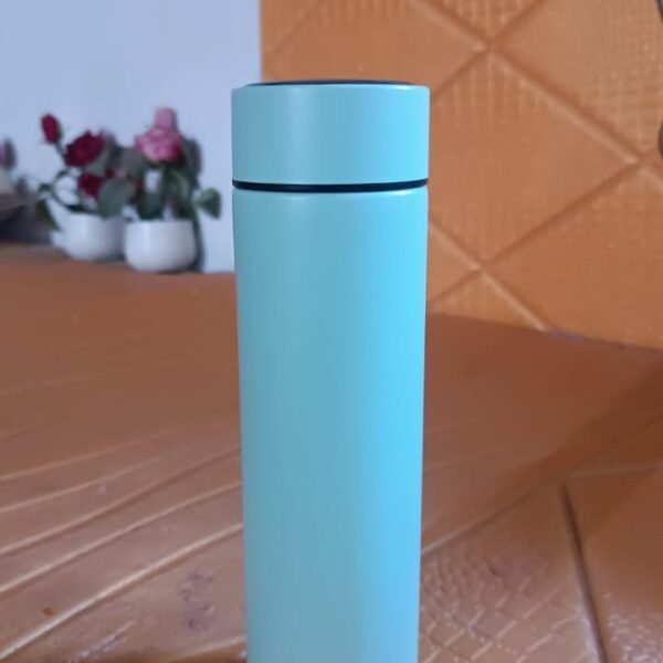 Stainless Steel Water Bottle (500 ML Approx)