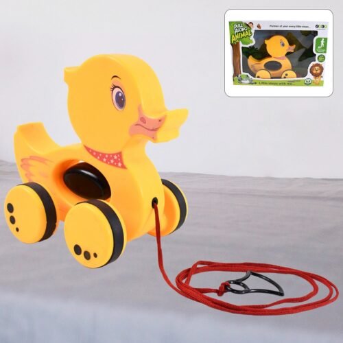 Pull Along Toy with Attractive Design, Developmental Toy for Girl Boy (Duck)