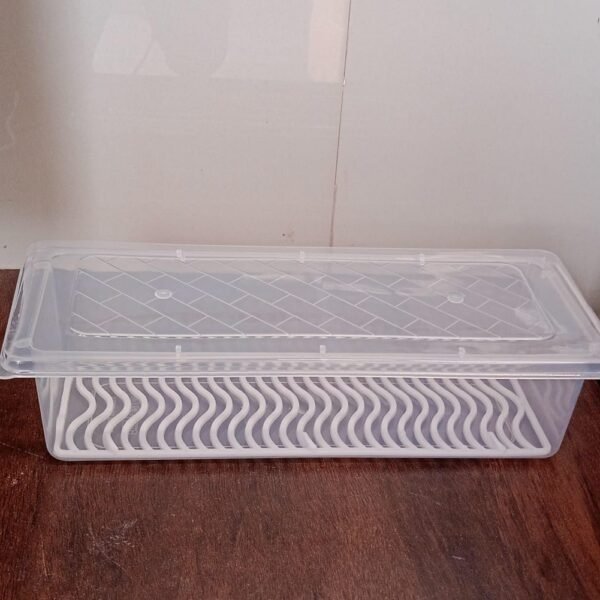 Food Storage Container with Removable Drain Plate and Lid, 1500 ml (Pack of 1 Pc)