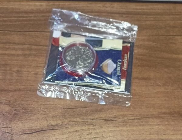 beb468b9-3b36-4ea1-bacb-840ad01f22be.jpg 6 LED Solar Powered Wall Mount Fence Light with Honeycomb Shade Design (2 Pc Set)