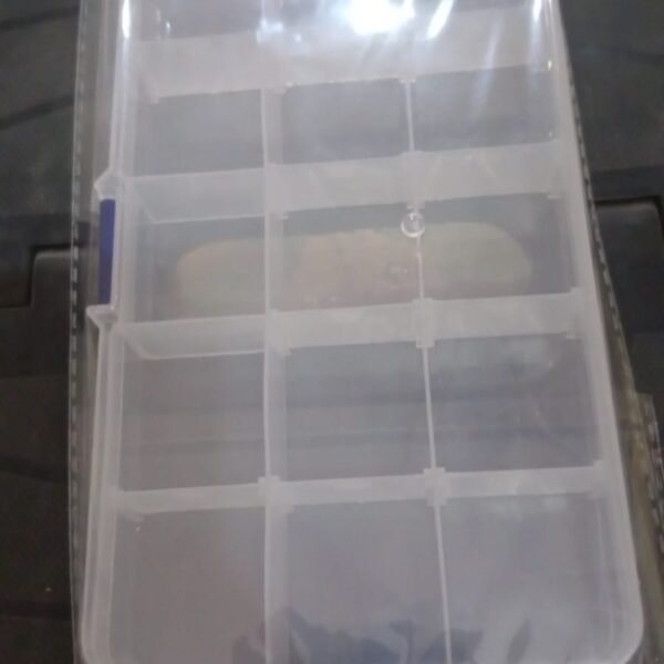15-Grid Clear Plastic Jewelry Organizer Box with Dividers (1 Pc)