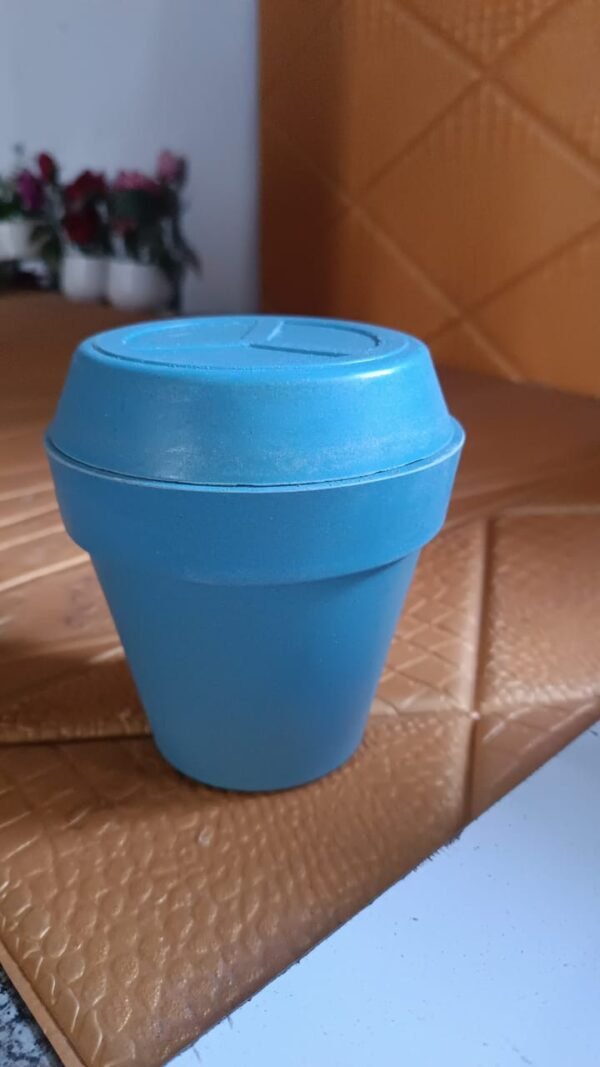 Heavy Plastic Flower pots With Tray (1 Pc)