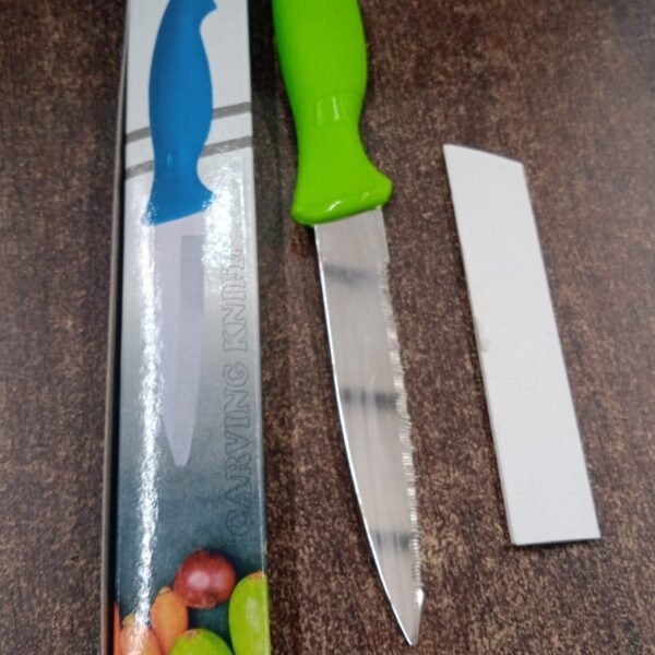 Stainless Steel Serrated Kitchen Knife (1 Pc)