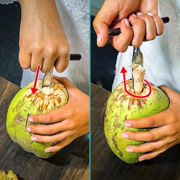 Stainless Steel Coconut Breaker Tool with Comfortable T-Handle (1 Pc)