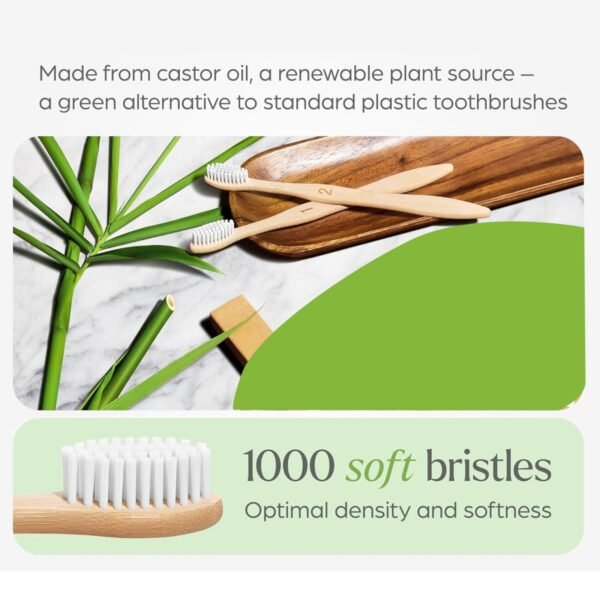 d4102c5b-c7d0-442f-9b78-4238fc1c1454.jpg Eco-Friendly Natural Bamboo Toothbrush with Medium Bristles (2 Pc)