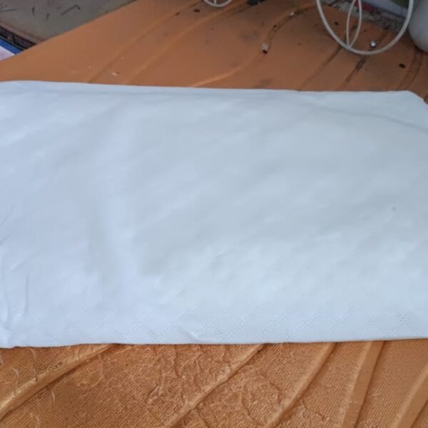 Premium Orthopedic Memory Foam Cervical Pillow (48x27CM / 1 Pc)