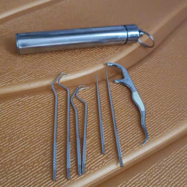 7 IN 1 STAINLESS STEEL TOOTHPICK FLOSSIER SET (1 SET / With Case)