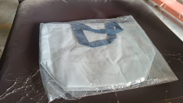 Multi-Purpose Travel Lunch Box Carrying Bag for Women, Men (1 Pc)