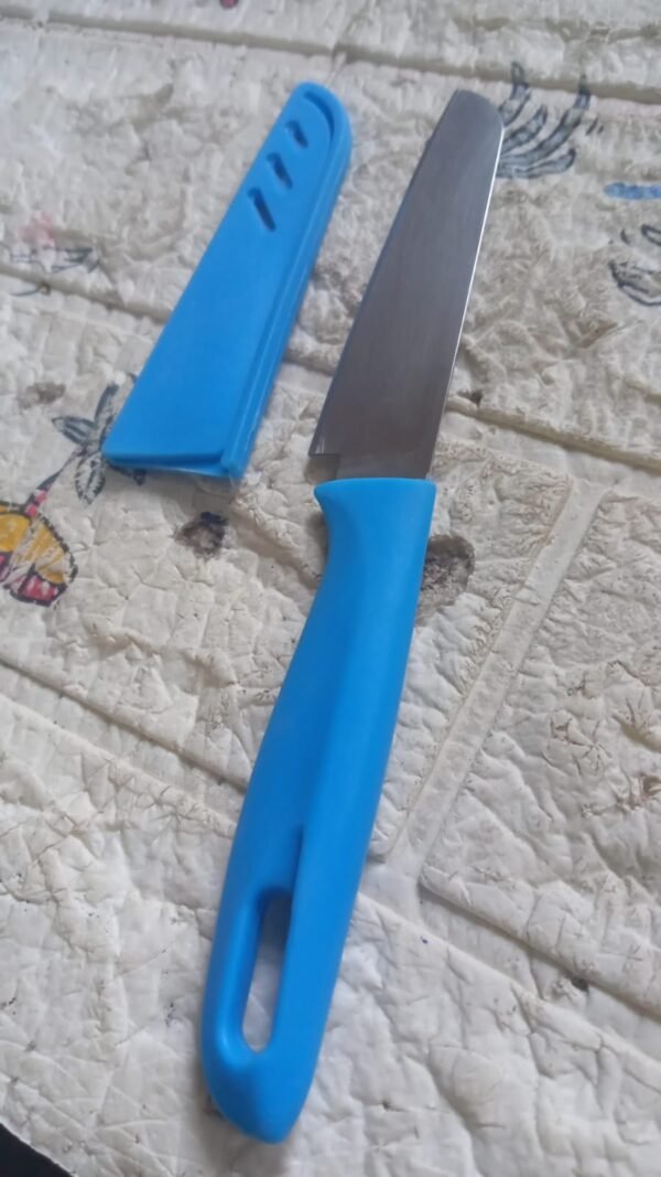 ddd617c9-7077-4801-a488-2f459f049090.jpg Stainless Steel Knife For Kitchen Use, Knife Set, Knife & Non-Slip Handle With Blade Cover Knife, Fruit, Vegetable,Knife Set (1 Pc)