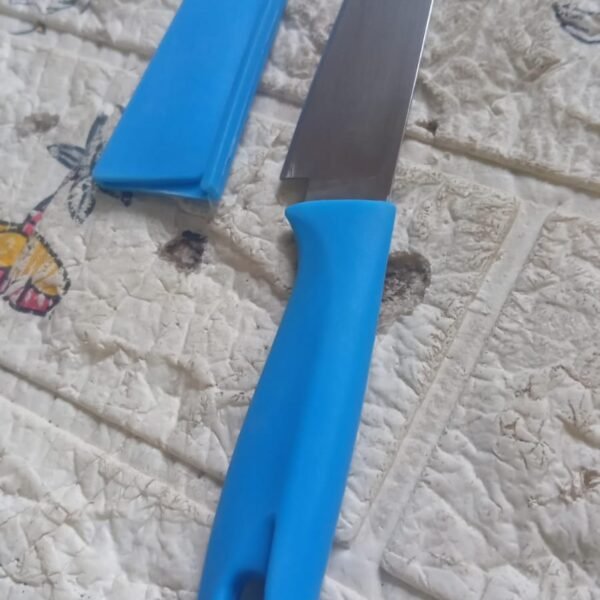 ddd617c9-7077-4801-a488-2f459f049090.jpg Stainless Steel Knife For Kitchen Use, Knife Set, Knife & Non-Slip Handle With Blade Cover Knife, Fruit, Vegetable,Knife Set (1 Pc)