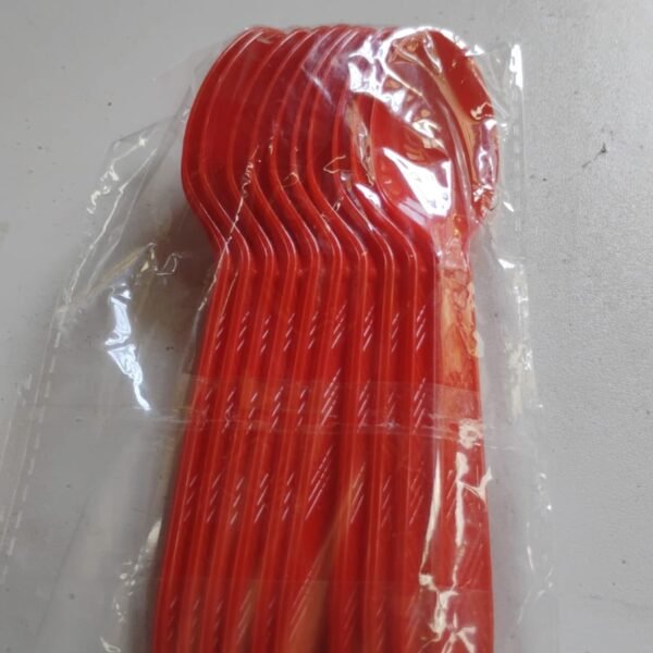 Reusable Food-Grade Plastic Spoons (10 Pc)