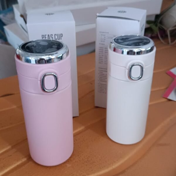 Smart Vacuum Insulated Water Bottle with LED Temperature Display (320 ml)