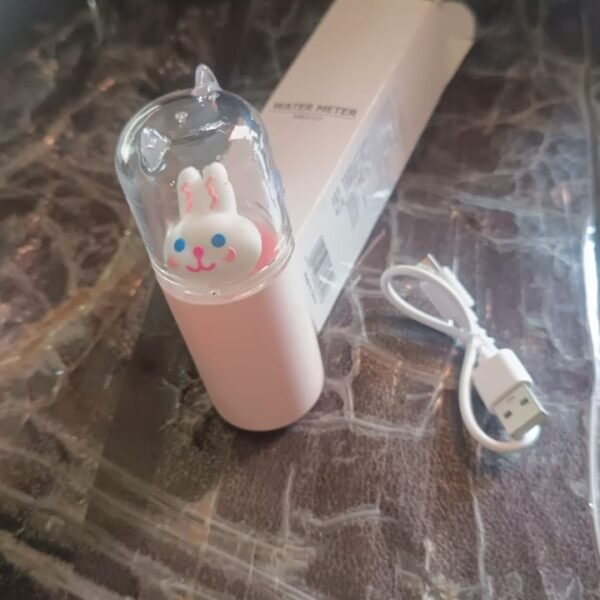 Portable Mini Facial Steamer – USB Rechargeable Nano Mist Sprayer Cute Cartoon Design