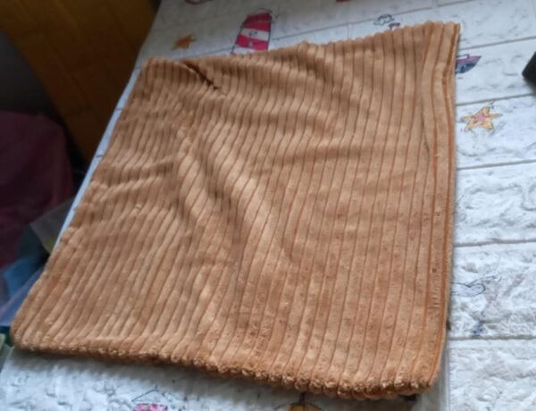 fb322a07-444a-4095-b6f6-3be17281cac0_daccd012-3db3-49c3-a808-2c96dad27a49.jpg Soft Corduroy 16x16 Throw Pillow Cover Square Decorative Cushion Case (1 Pc)