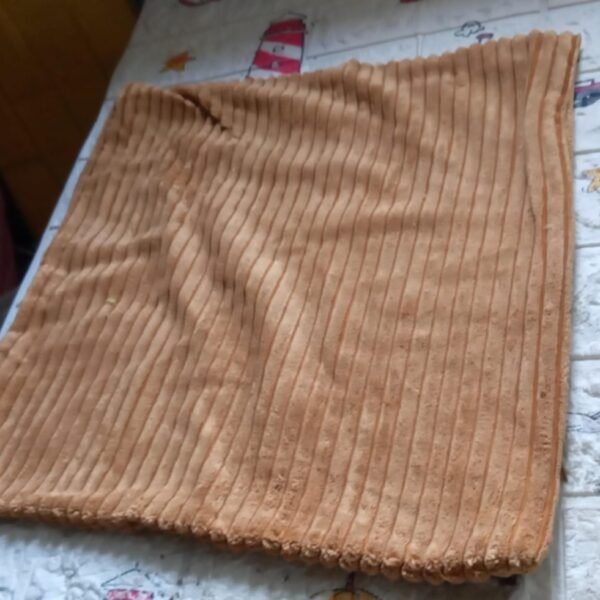 fb322a07-444a-4095-b6f6-3be17281cac0_daccd012-3db3-49c3-a808-2c96dad27a49.jpg Soft Corduroy 16x16 Throw Pillow Cover Square Decorative Cushion Case (1 Pc)