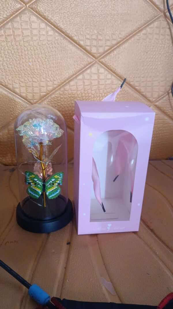 LED Light-Up Eternal Rose Butterfly in Transparent Dome (1 Pc / Battery not Included)