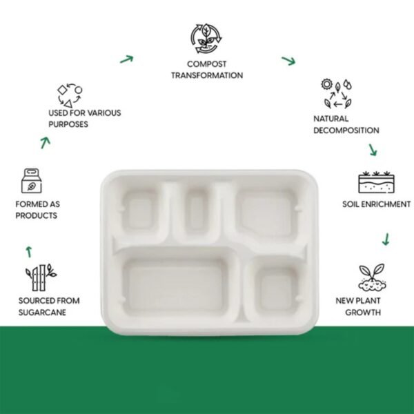 5-Compartment Rectangle Lunch Compostable Bagasse Plate – 10 Pcs Pack