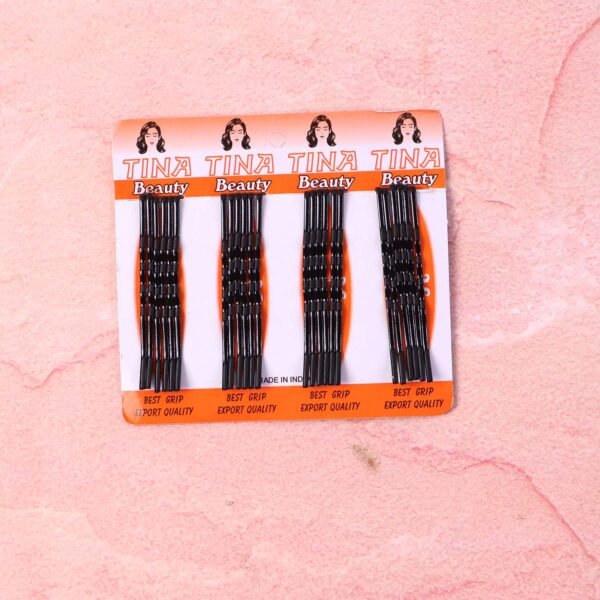 hairclipSmall-02.jpg Medium Black Hair Bobby Pins (24 Pc)