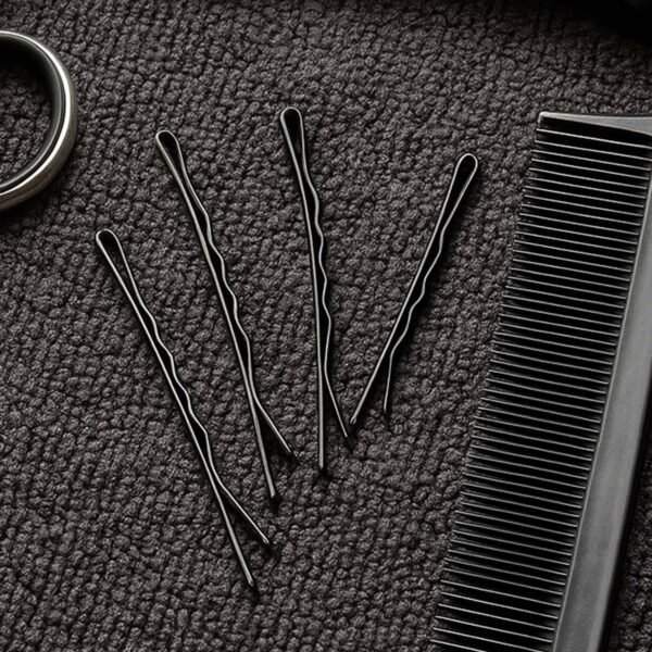 hairclipSmall-03.jpg Medium Black Hair Bobby Pins (24 Pc)