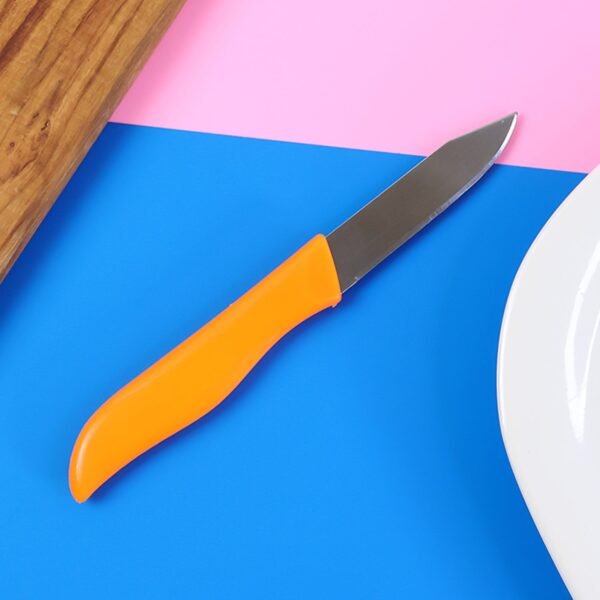 knife-04_edc5fef5-de4e-4cd9-b43f-4c6697881a0b.jpg Professional Paring & Utility Kitchen Knife, Chhari (1 Pc)