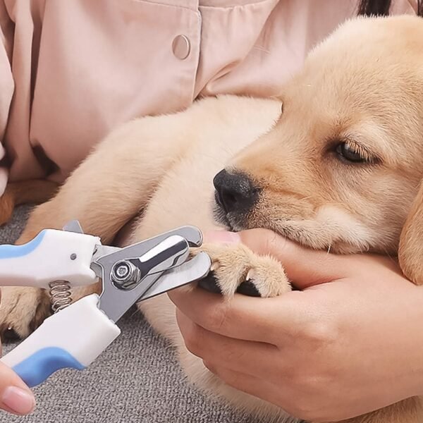 pet-nail-cutter-03_d39eabb5-d4bc-4129-90dc-20b3ccfcee5e.jpg Pet Nail Clipper and Nail File Grooming Kit for Dogs and Cats (Mix Color / 2 Pc)